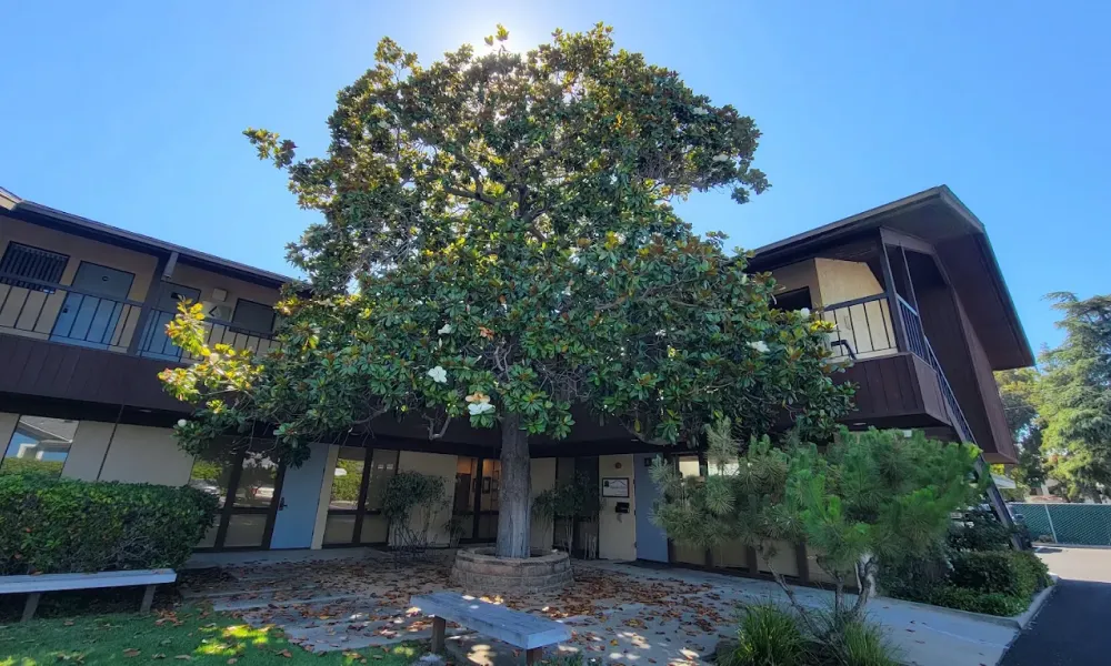 Dentist Near Me in San Luis Obispo: Why Magnolia Dental Is Your Top Choice
